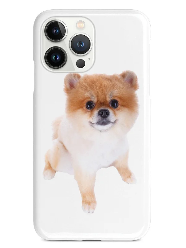 Short-haired Pomeranian Case